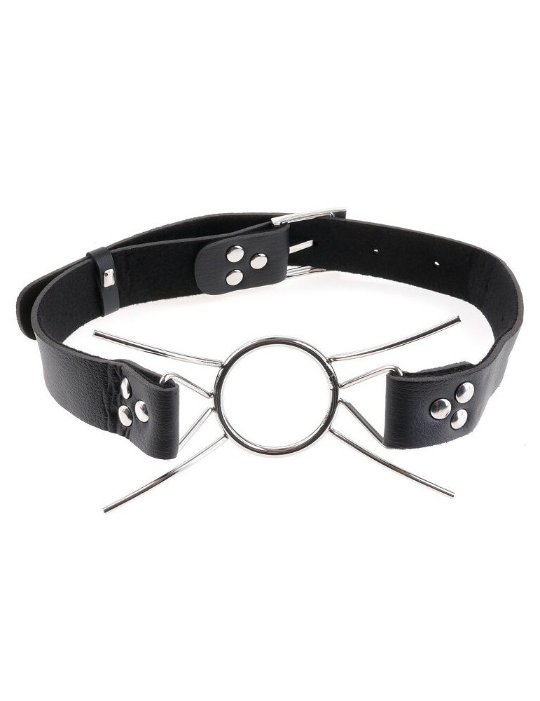 fétiche fantaisie extrême araignée bâillon bâillon