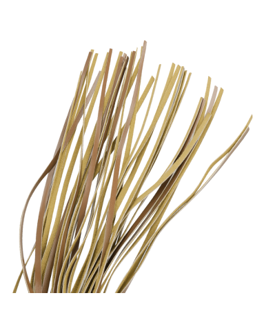 fétiche soumis origine fouet cuir vegan_4