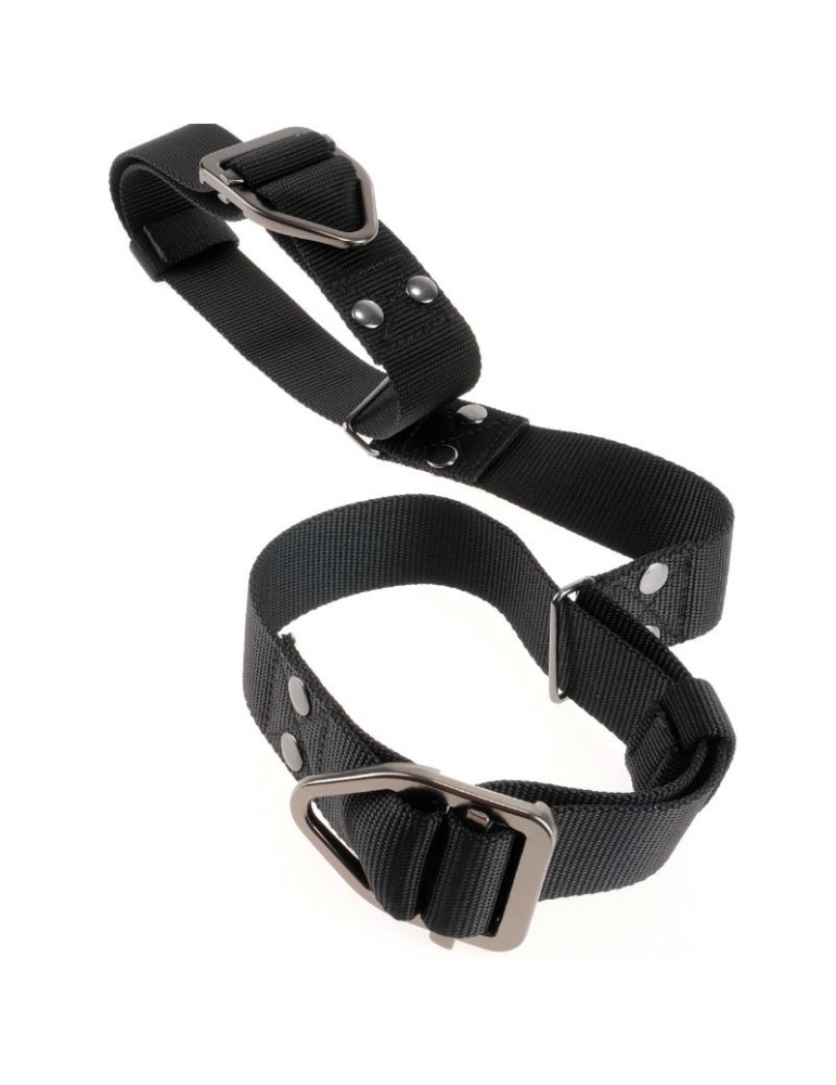 sir richards commande la retenue des biceps