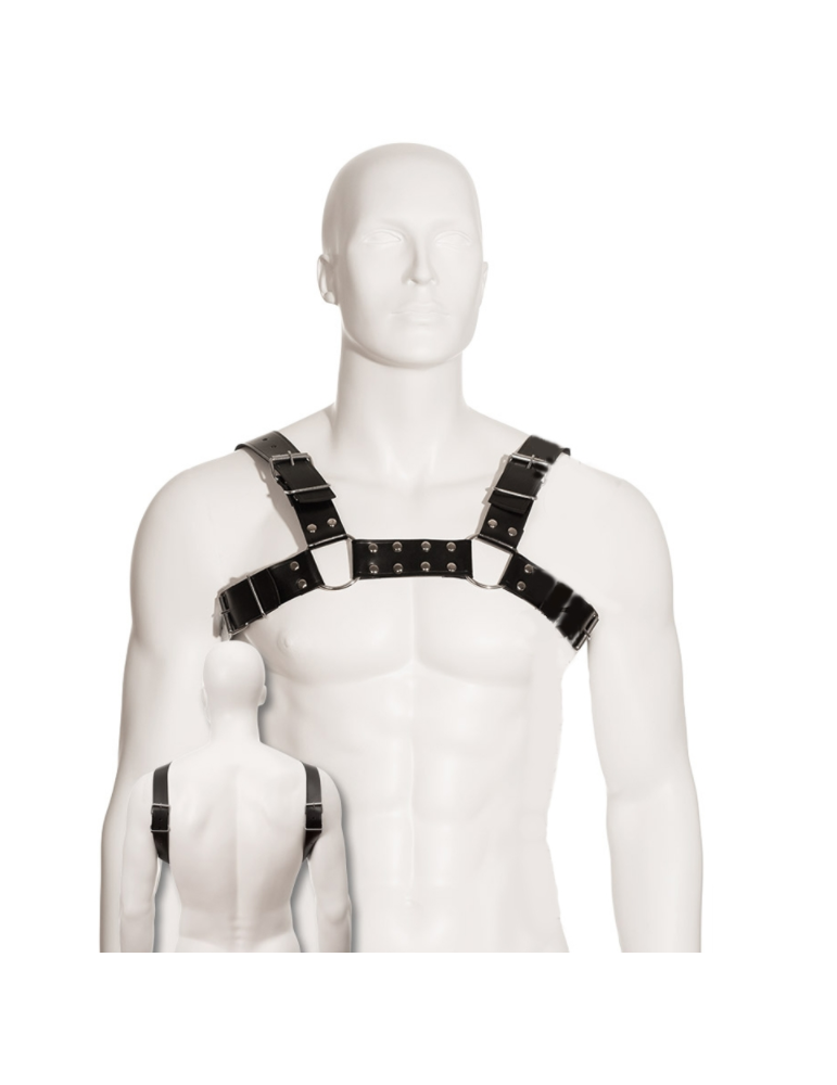 harnais de chien taureau noir corps en cuir