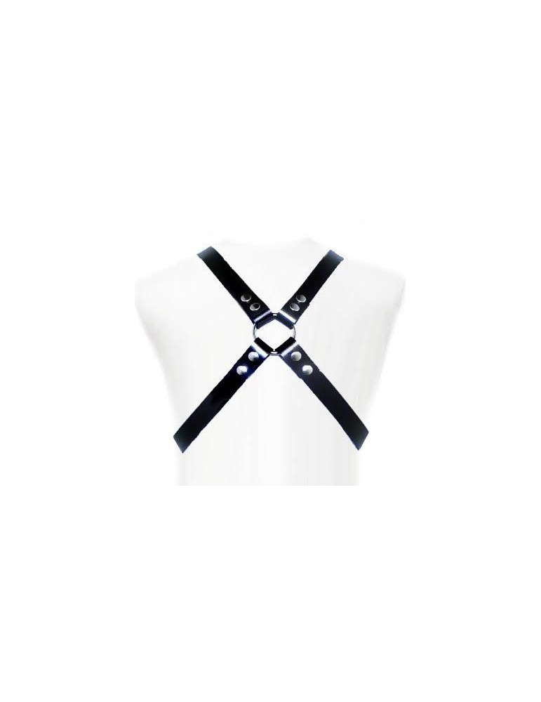 harnais de base en cuir