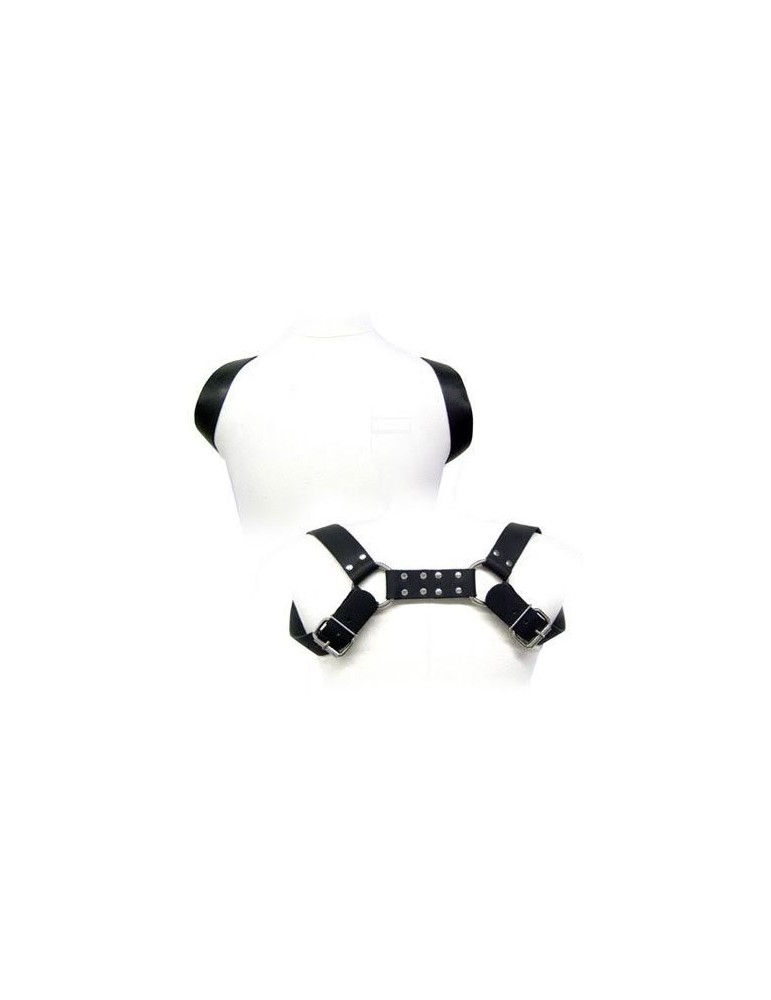 harnais étui en cuir