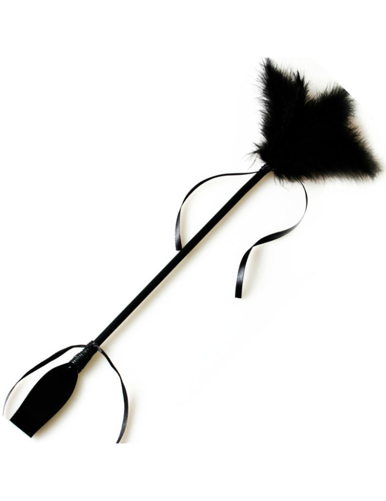 fouet de jeu secret et plume noire_2