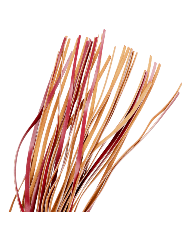 fétiche soumis pièce sombre fouet en cuir vegan_4